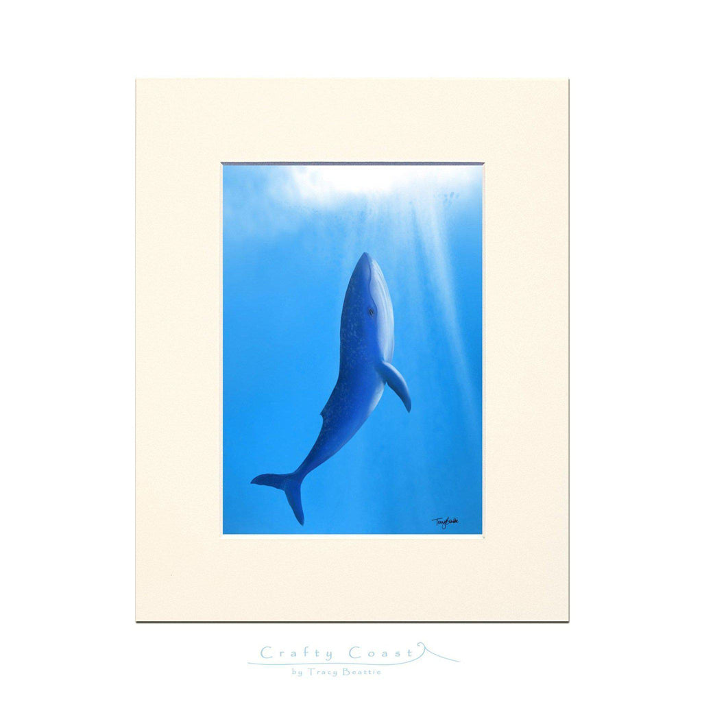 Blue Whale - Song of the Sea– 10x8”