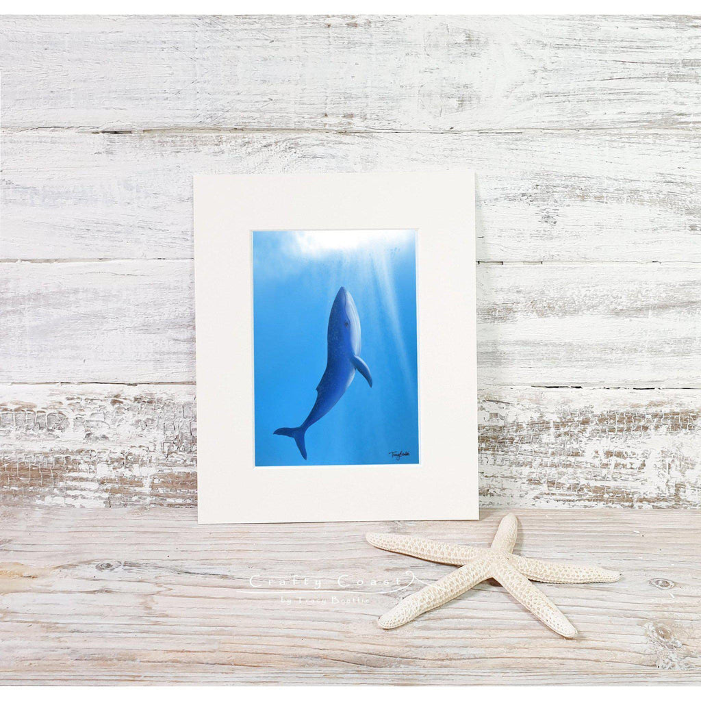 Blue Whale - Song of the Sea– 10x8”-Crafty Coast-Artisan Market Online