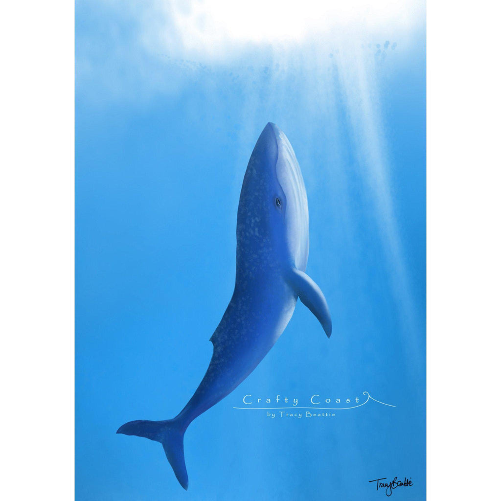Blue Whale - Song of the Sea– 10x8”